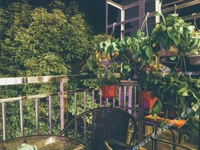 Maoxiaoyuan Private Mini Hotel - Image 3