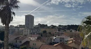 Le top - Image 5