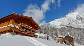 Riedlhof - Leogang - Image 3