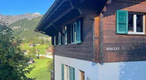 Ferienwohnungen Hotel Alpina - Image 5