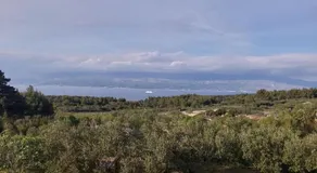Holiday Home in Mirca with terrace - Image 4