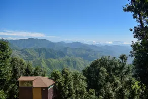 Treecasa Resort - Image 3