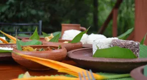 Dambulla Tree House - Image 5