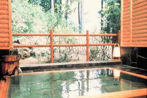Syunmokutei Nakazawa Ryokan - Image 2