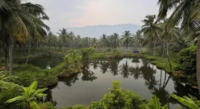 Evergreen Homestay - Image 5