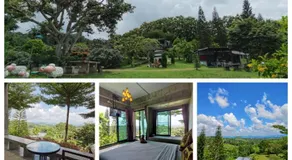 Baan Suan Plearndara Homestay - Image 5