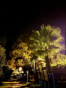 Okyanus Kıyısı bungalov çıralı - Image 5