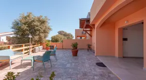Pettirosso - Image 5