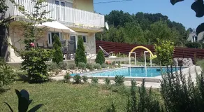 Holiday home in Vonyarcvashegy - Balaton 42697 - Image 3