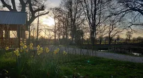 The Willow Cabin - Wild Escapes Wrenbury off grid glamping - ages 12 and over - Image 5