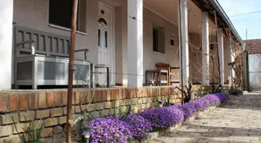 Julia Apartman - Image 5