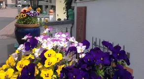 Landpension Villa Dominikus - Image 4