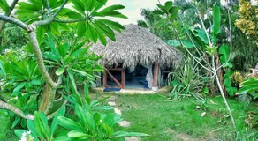 Jungle Hut near Beach - Nature Lovers - Image 5