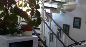 Pension Siesta - Image 4