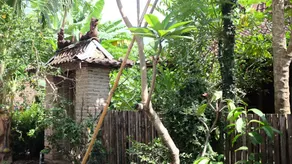Joglo Aruna Guesthouse - Image 5