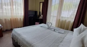 Casa Rosca Busteni - Image 2