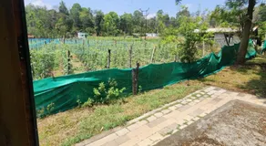 Tusker Valley Mudumalai by Privacy Homes - Image 4