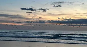 Chambre d hôte à la plage de 15 m2 LE MANAPANY - Image 5