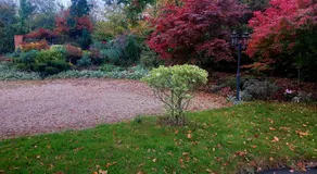 The Bungalow, in heart of High Beach, Epping Forest - Image 3