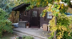 Perenner på bakgården - Image 4
