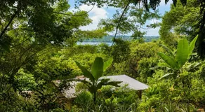 Beach Treehouse Ocean Views 2m walk to Beach - Image 4