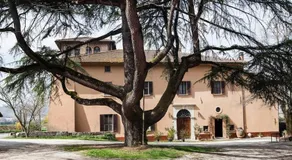 Il Cedro del Libano - Image 5