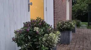 Bij Ons Naast - Image 4