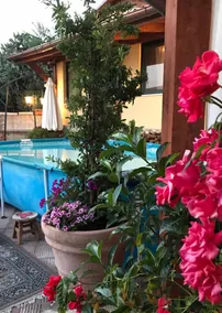 ***** La casa di Gio'- Appartamento Rustico Legno - Image 5