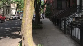 NYC Townhouse Apartment - Image 3