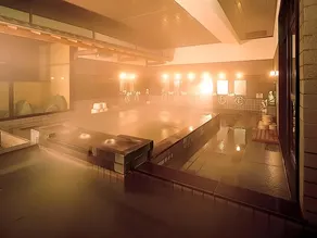 Hotel Hamarikyu - Image 3