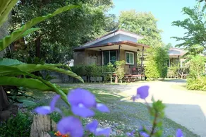 sing-ha coffee & house - Image 4