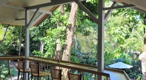 Treehouse La Hierba, Pavones - Image 5