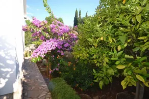 Apartment Zdenko A1 Splitska, Island Brac - Image 2