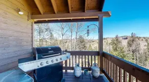 Timberline Vista - Image 2