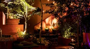 The Red Tree House - Image 4