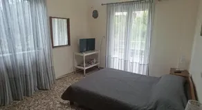 The Lemon House - Image 2