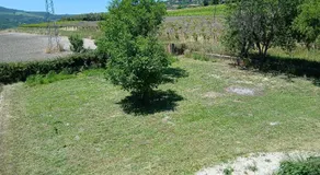 Oasi - Image 4