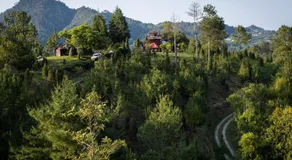 Bosque de Niebla - Image 2