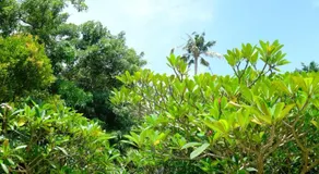 Villa Akasa - Image 4