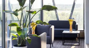 SOLAVO HOME&TRAVEL - Image 3
