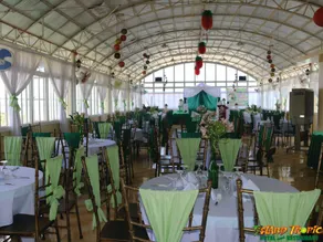 Island Tropic Hotel and Restaurant - Image 5
