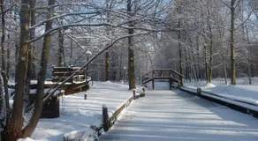 Pension Am Holzgraben - Image 3