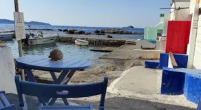il Marinero mandrakia - Image 4