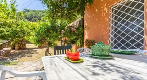 Casa Pájaro Colores in Bolonia - Image 4