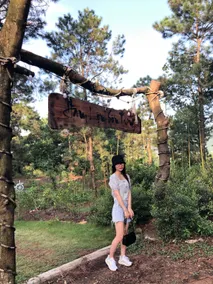 Hàm Lợn Sơn Trang - Image 5