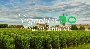 Proche St Emilion , Une pause quelque part recharge pour voiture électrique inclu - Image 5