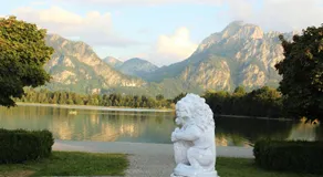 Zum Goldenen Schwanen - Image 5