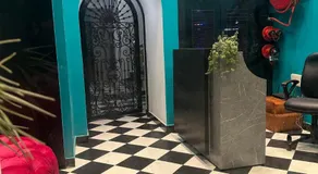 The Only Plaza - Image 3