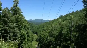 The Dogwood Breeze - Image 5