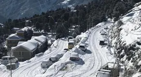 Aangan by Mom - Image 5